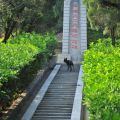 梅山公園-梅山公園照片