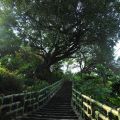 梅山公園-梅山公園照片