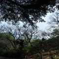 梅山公園-梅山公園照片