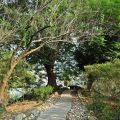 梅山公園-梅山公園照片