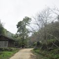 石壁山嘉南雲峰步道-石壁山嘉南雲峰步道照片