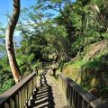 竹坑溪步道(挑炭古道)-竹坑溪步道(挑炭古道)照片