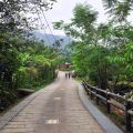 雲林文學步道(華山文學步道)-文學步道(華山文學步道)照片