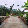 雲林文學步道(華山文學步道)-文學步道(華山文學步道)照片