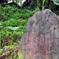 雲林文學步道(華山文學步道)-文學步道(華山文學步道)照片