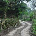 雲林文學步道(華山文學步道)-文學步道(華山文學步道)照片