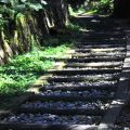 木馬棧道-木馬棧道照片