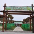 青灣仙人掌公園-青灣仙人掌公園照片