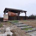 青灣仙人掌公園-青灣仙人掌公園照片