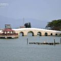 天鵝湖環保水上公園(埤寮埤)-天鵝湖環保水上公園(埤寮埤)照片