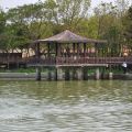 天鵝湖環保水上公園(埤寮埤)-天鵝湖環保水上公園(埤寮埤)照片