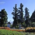 清境小瑞士花園(思源池)-清境小瑞士花園(思源池)照片