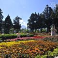 清境小瑞士花園(思源池)-清境小瑞士花園(思源池)照片