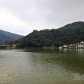 埔里鯉魚潭(小西湖)-埔里鯉魚潭(小西湖)照片