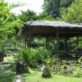 茅埔坑溼地(茅埔坑生態公園, 茅埔坑生態池)-茅埔坑濕地照片