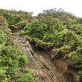 合歡山北峰(西峰)步道登山口-合歡山北峰(西峰)步道登山口照片