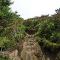 合歡山北峰(西峰)步道登山口-合歡山北峰(西峰)步道登山口照片