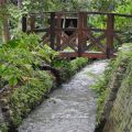 台一生態教育農園(台一生態教育休閒農園)-台一生態教育農園(台一生態教育休閒農園)照片