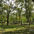 牛耳藝術渡假村(牛耳石雕公園)-牛耳藝術渡假村(牛耳石雕公園)照片