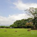 牛耳藝術渡假村(牛耳石雕公園)-牛耳藝術渡假村(牛耳石雕公園)照片