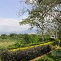 牛耳藝術渡假村(牛耳石雕公園)-牛耳藝術渡假村(牛耳石雕公園)照片