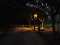 高雄都會公園-夜晚有不同的風味照片
