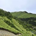 合歡山森林遊樂區-合歡山森林遊樂區照片