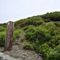 合歡山主峰登山口照片