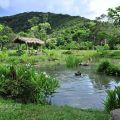 佳德谷原住民植物生活教育園區