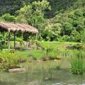 佳德谷原住民植物生活教育園區-牡丹鄉原住民觀光文化產業發展協會&佳德谷原住民植物生活教育園區照片