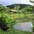 佳德谷原住民植物生活教育園區-牡丹鄉原住民觀光文化產業發展協會&佳德谷原住民植物生活教育園區照片