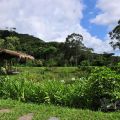 牡丹鄉原住民觀光文化產業發展協會&佳德谷原住民植物生活教育園區