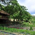 牡丹鄉原住民觀光文化產業發展協會&佳德谷原住民植物生活教育園區