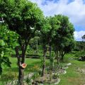 佳德谷原住民植物生活教育園區-牡丹鄉原住民觀光文化產業發展協會&佳德谷原住民植物生活教育園區照片