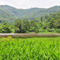 哭泣湖(東源湖)-哭泣湖(東源湖)照片