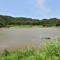 哭泣湖(東源湖)-哭泣湖(東源湖)照片