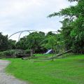 冬山河森林公園-冬山河森林公園照片