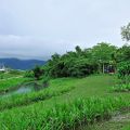 冬山河森林公園-冬山河森林公園照片