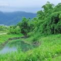 冬山河森林公園-冬山河森林公園照片