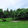 冬山河森林公園-冬山河森林公園照片