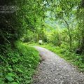 松羅國家步道 & 松羅湖-松羅國家步道 & 松羅湖照片