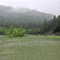 明池國家森林遊樂區-明池國家森林遊樂區照片