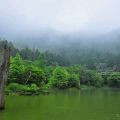 明池國家森林遊樂區-明池國家森林遊樂區照片