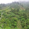 太平山國家森林遊樂區-太平山國家森林遊樂區照片