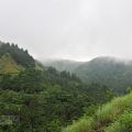 太平山國家森林遊樂區-太平山國家森林遊樂區照片