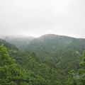 太平山國家森林遊樂區-太平山國家森林遊樂區照片