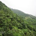 太平山國家森林遊樂區-太平山國家森林遊樂區照片