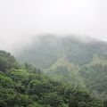 太平山國家森林遊樂區-太平山國家森林遊樂區照片