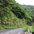 太平山國家森林遊樂區-太平山國家森林遊樂區照片