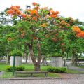 宜蘭運動公園-宜蘭運動公園照片